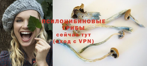 экстази Новодвинск