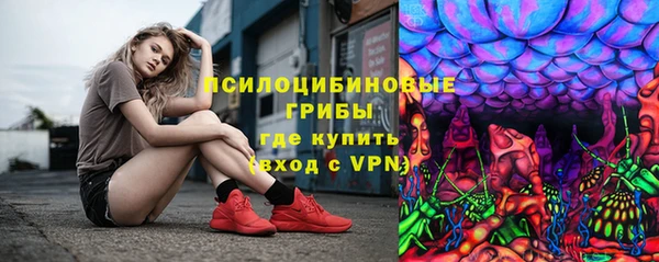 ГАЛЛЮЦИНОГЕННЫЕ ГРИБЫ Нея