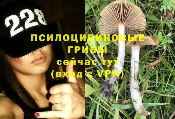ПСИЛОЦИБИНОВЫЕ ГРИБЫ Бикин