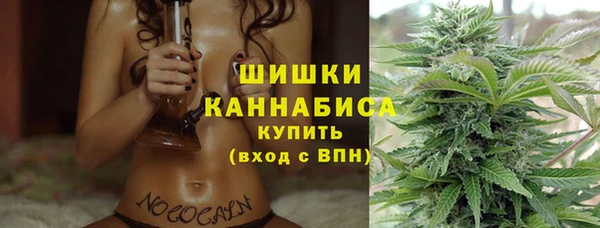 ГАЛЛЮЦИНОГЕННЫЕ ГРИБЫ Нея